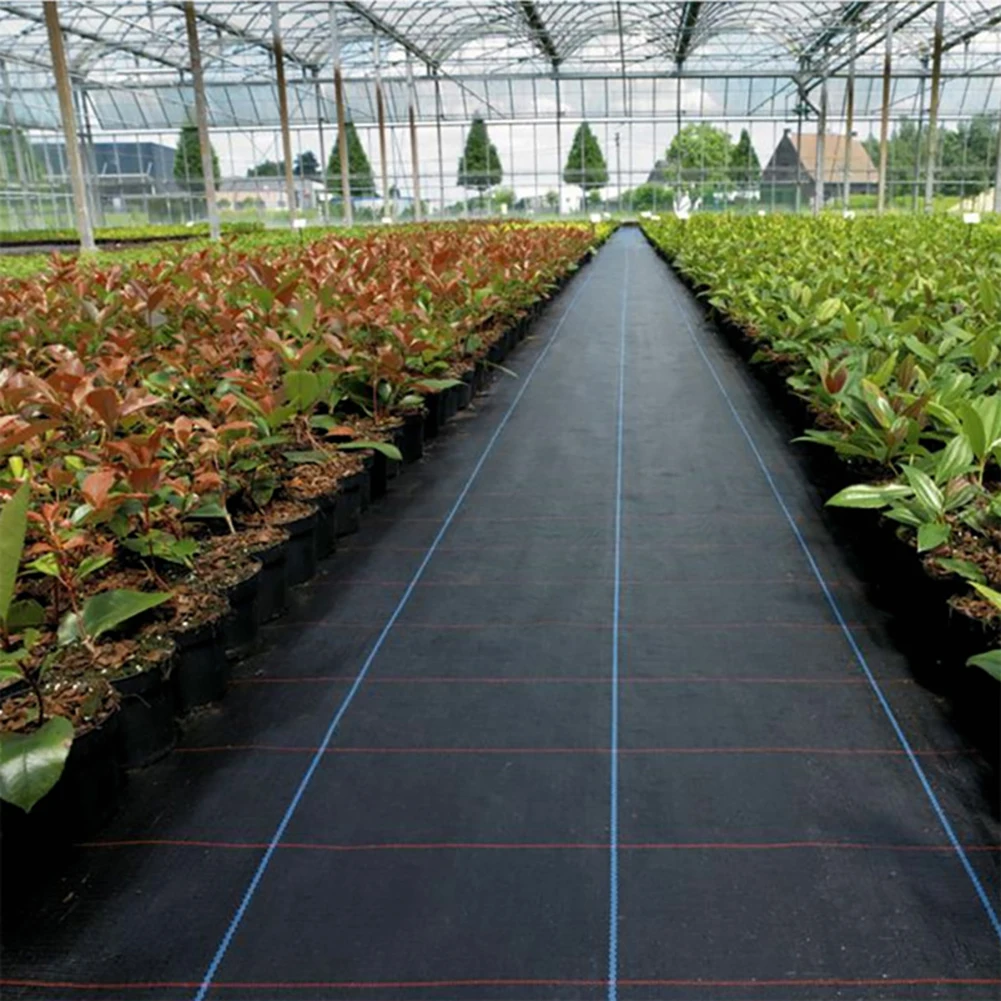 5m/10m Anti Grass Cloth Farm-oriented Weed Barrier Mat Black Plastic Mulch Thicker Orchard Garden Weed Control Fabric jardin
5m/10m Anti Grass Cloth Farm-oriented Weed Barrier Mat Black Plastic Mulch Thicker Orchard Garden Weed Control Fabric jardin