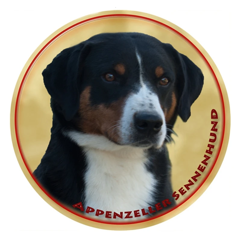S40302# Various Sizes PVC Decal Appenzeller Sennenhund Car Sticker Waterproof For Bumper Rear Window Laptop Refrigerator Toilet
S40302# Various Sizes PVC Decal Appenzeller Sennenhund Car Sticker Waterproof For Bumper Rear Window Laptop Refrigerator Toilet