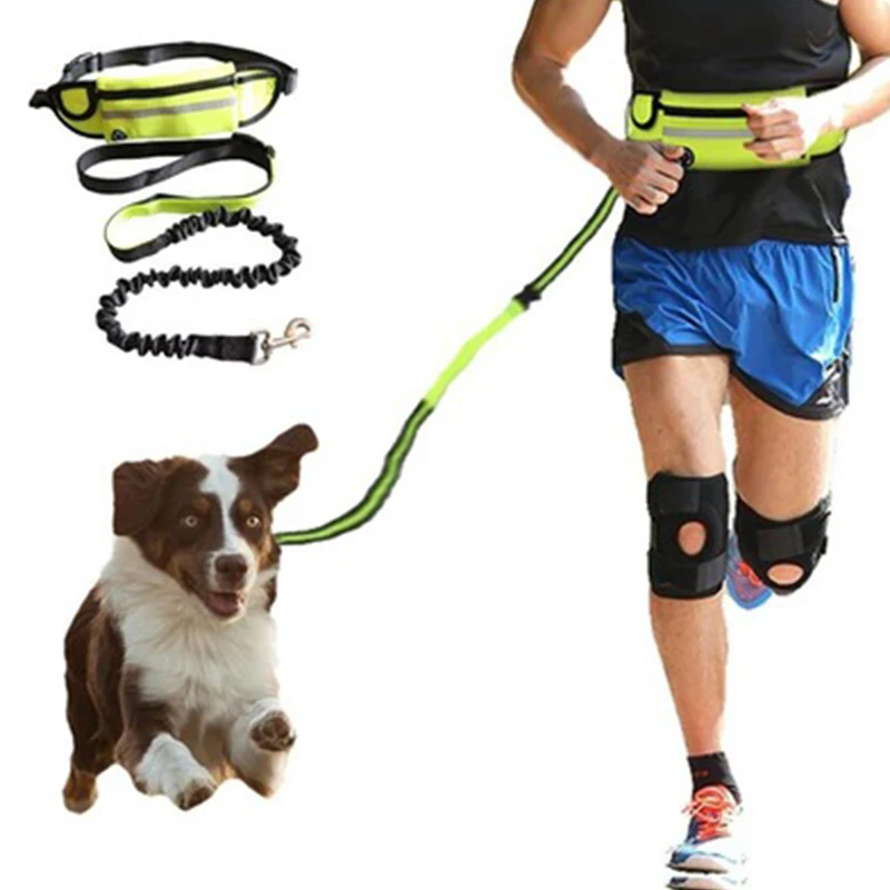 Dog Traction Rope Free hands Jogging Dog Leash with Waist Bag Pull dog Running Elastic Belt Reflective Harnesses Dog accessories
Dog Traction Rope Free hands Jogging Dog Leash with Waist Bag Pull dog Running Elastic Belt Reflective Harnesses Dog accessories