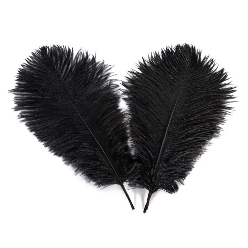 New Hight Quality Ostrich Feathers 10Pcs/lot 15-20CM DIY Jewelry Making Wedding Party Decoration Plumes and Feathers for Crafts
New Hight Quality Ostrich Feathers 10Pcs/lot 15-20CM DIY Jewelry Making Wedding Party Decoration Plumes and Feathers for Crafts