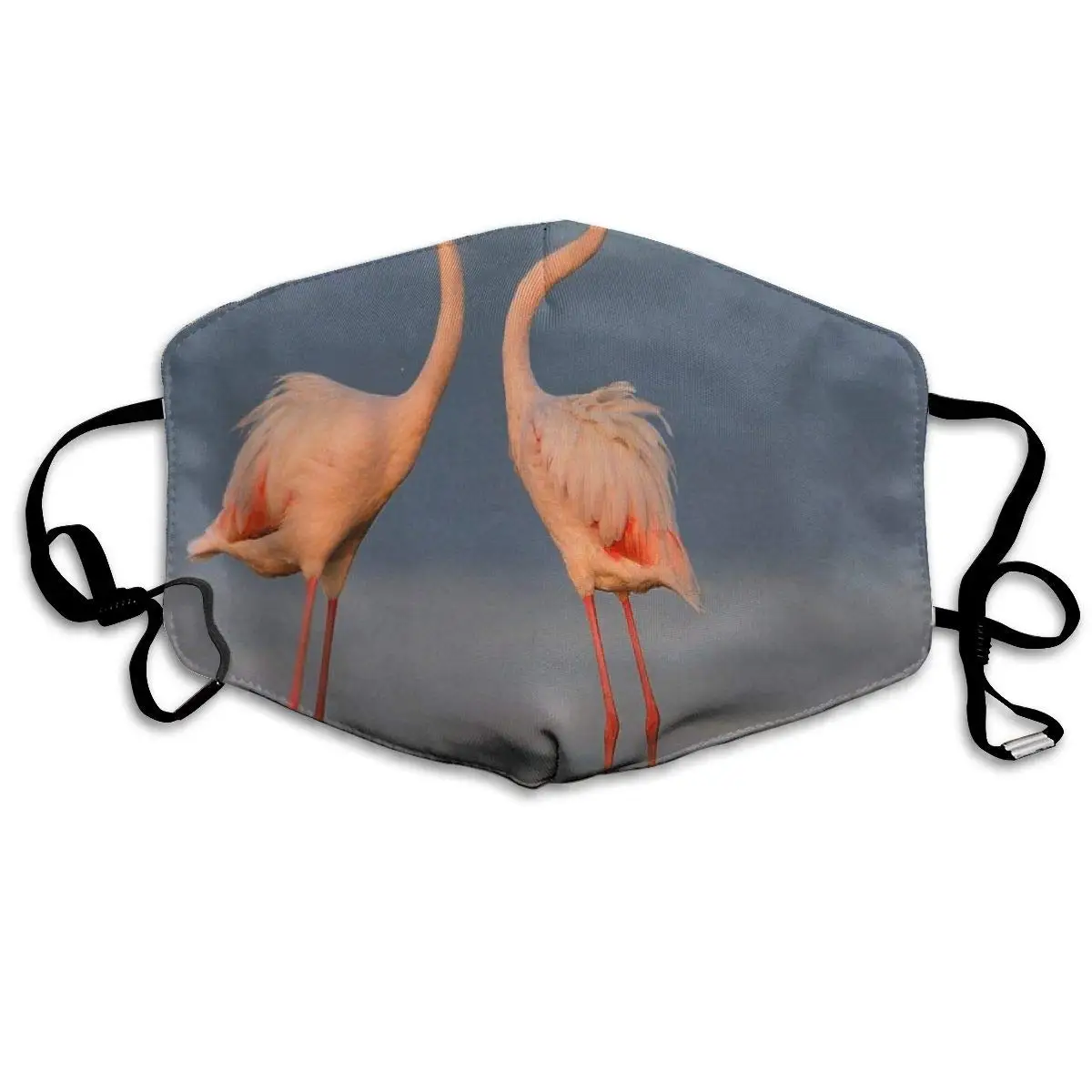 Dustproof Washable Reusable Flamingo Bird Mouth Cover Mask Protective Warm Windproof Mask
Dustproof Washable Reusable Flamingo Bird Mouth Cover Mask Protective Warm Windproof Mask