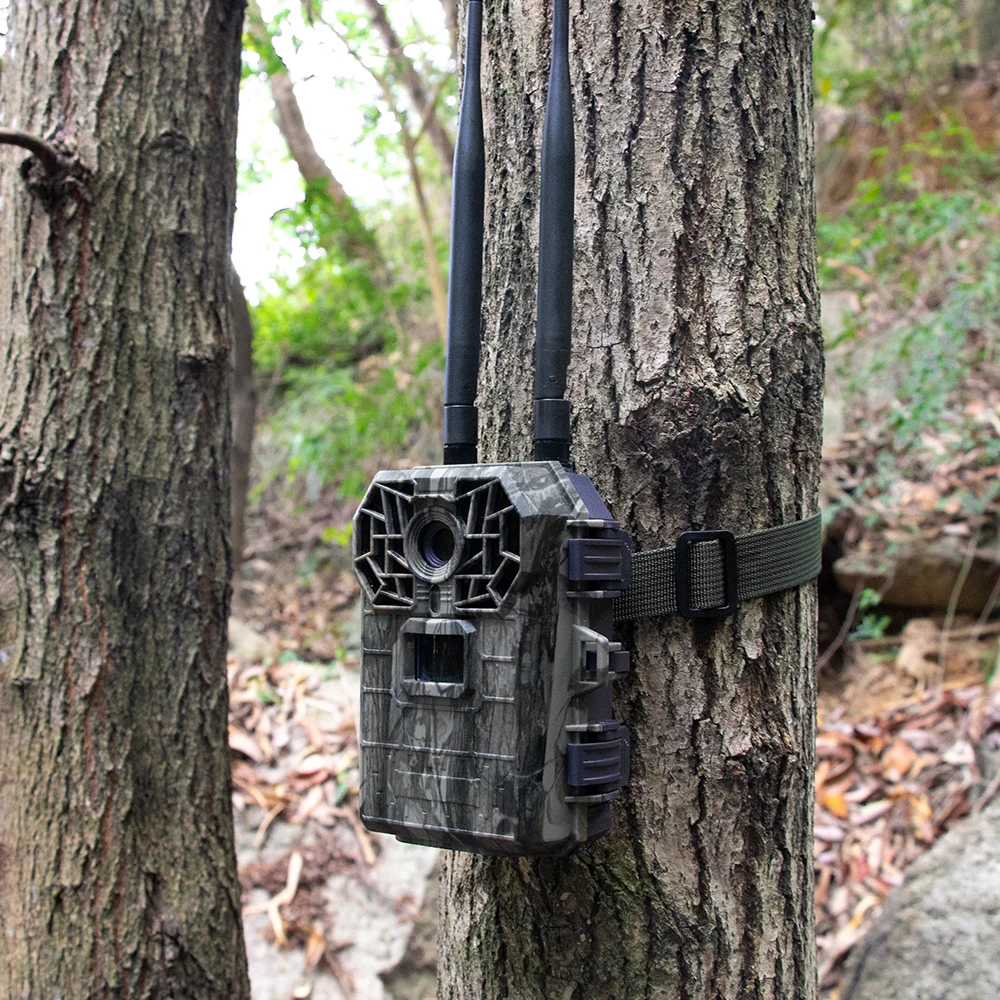 1080P, , s HH763
1080P, , s HH763