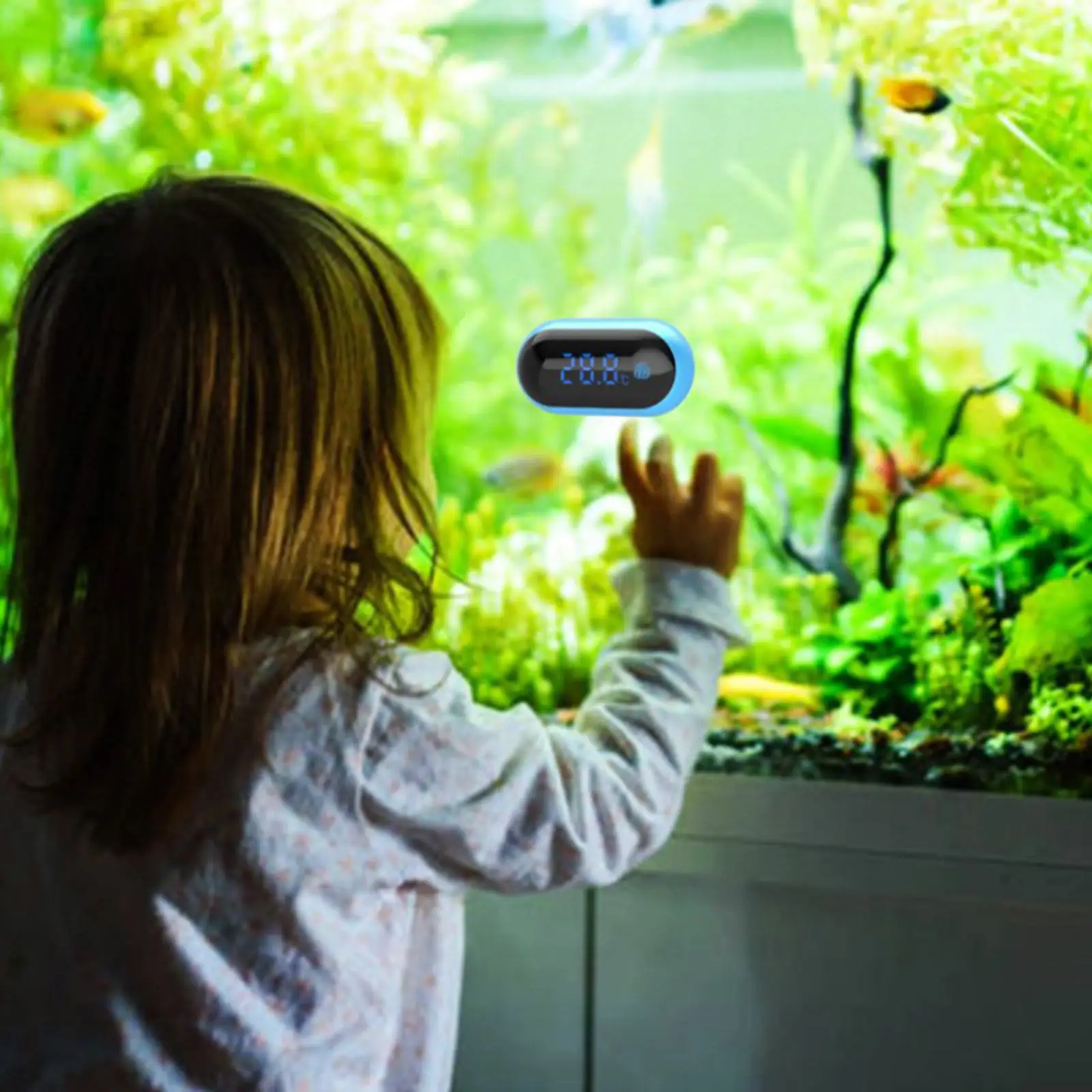 Water Thermometer, Digital LED Thermometer for Aquarium Fish and Reptiles Like Lizard and Turtle 
Water Thermometer, Digital LED Thermometer for Aquarium Fish and Reptiles Like Lizard and Turtle
