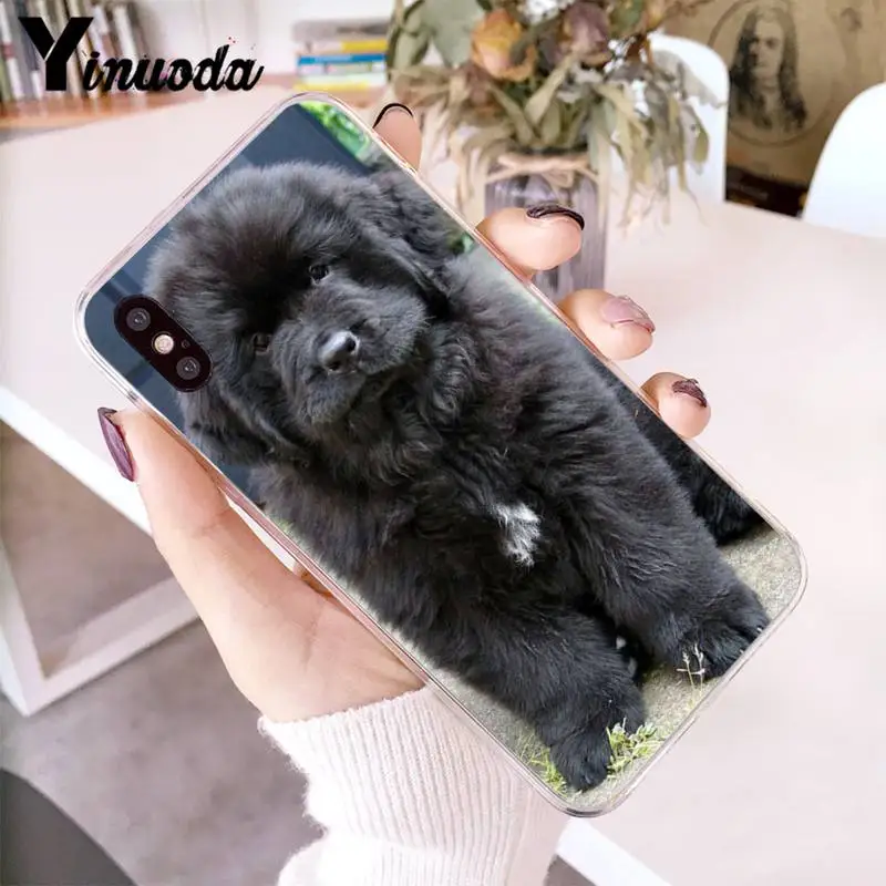 Yinuoda Animal Caucasian Shepherd Dog Customer Phone Case for iPhone 12 8 7 6 6S Plus X XS MAX 5 5S SE XR 11 12 pro promax
Yinuoda Animal Caucasian Shepherd Dog Customer Phone Case for iPhone 12 8 7 6 6S Plus X XS MAX 5 5S SE XR 11 12 pro promax
