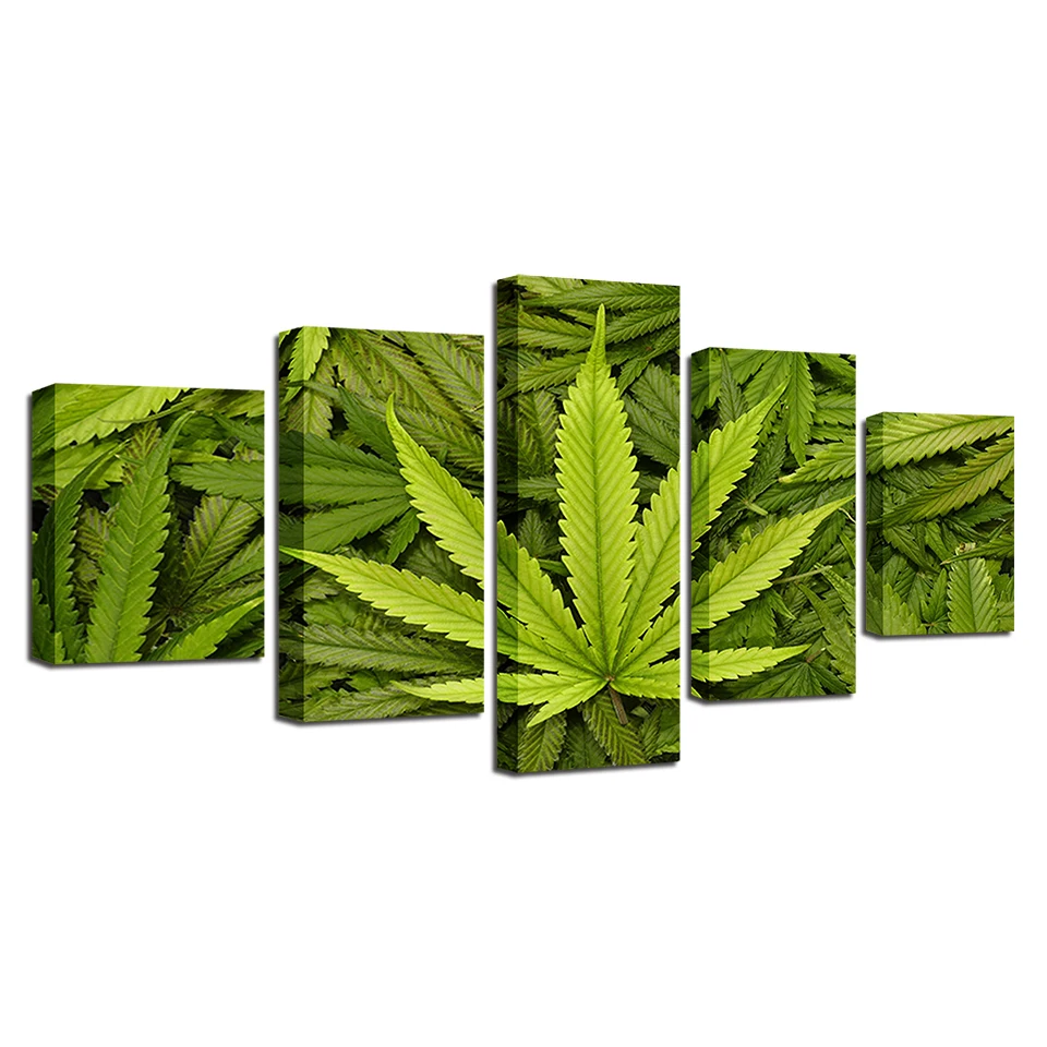 Canvas Paintings Wall Art HD Prints 5 Pieces Abstract Green Leaves Pictures For Living Room Green Life Posters Modern Home Decor
Canvas Paintings Wall Art HD Prints 5 Pieces Abstract Green Leaves Pictures For Living Room Green Life Posters Modern Home Decor