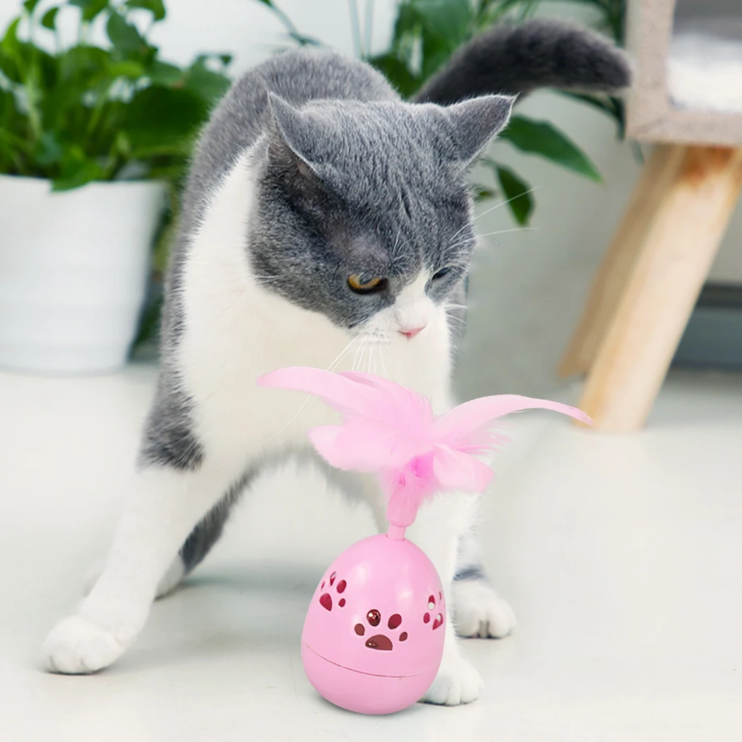 1pc Funny Cat Teaser Toys Creative Tumbler Fake Feather Cat Training Toy Pet Sound Toy Pet Supplies Dropshipping
1pc Funny Cat Teaser Toys Creative Tumbler Fake Feather Cat Training Toy Pet Sound Toy Pet Supplies Dropshipping