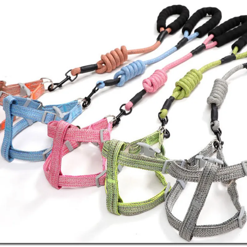 Pet Car Seat Belt Foam Handle Damping Elasticity Dog Walker Leash Big Puppy Universal Telescopic Automatic Hand Rope Pet Supplie 
Pet Car Seat Belt Foam Handle Damping Elasticity Dog Walker Leash Big Puppy Universal Telescopic Automatic Hand Rope Pet Supplie