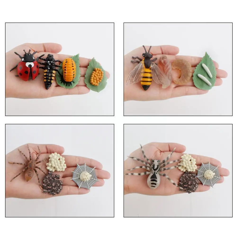 Wooden Animal Life Cycle Board Children Toys Montessori Teaching Plant Life Aids Growth Toys Cycle Educational Model Scienc V6k5
Wooden Animal Life Cycle Board Children Toys Montessori Teaching Plant Life Aids Growth Toys Cycle Educational Model Scienc V6k5
