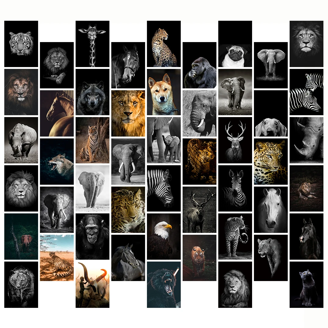 50 шт. черно-белые элементы животных, собака, лошадь, тигр, фотоколлаж, изысканные наборы, коллекция фотографий, декор комнаты
50 шт. черно-белые элементы животных, собака, лошадь, тигр, фотоколлаж, изысканные наборы, коллекция фотографий, декор комнаты