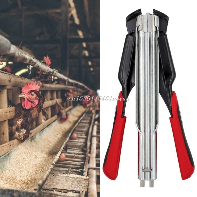 Poultry Cage Clamp Hog Ring SR8 Hog Ring Gun & C Type 2500 Stainless Steel C Clips Cage Fencing Nailer Pliers New 2019
Poultry Cage Clamp Hog Ring SR8 Hog Ring Gun & C Type 2500 Stainless Steel C Clips Cage Fencing Nailer Pliers New 2019