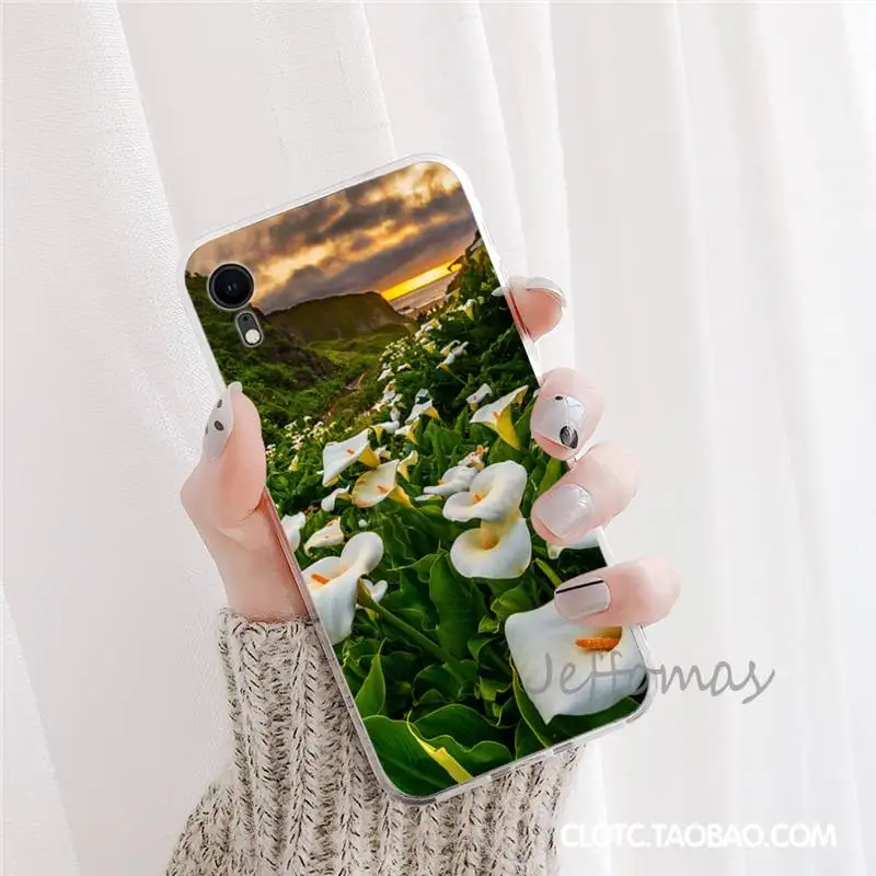 Calla lily flower Phone Case For iphone 12 5 5s 5c se 6 6s 7 8 plus x xs xr 11 pro max mini
Calla lily flower Phone Case For iphone 12 5 5s 5c se 6 6s 7 8 plus x xs xr 11 pro max mini