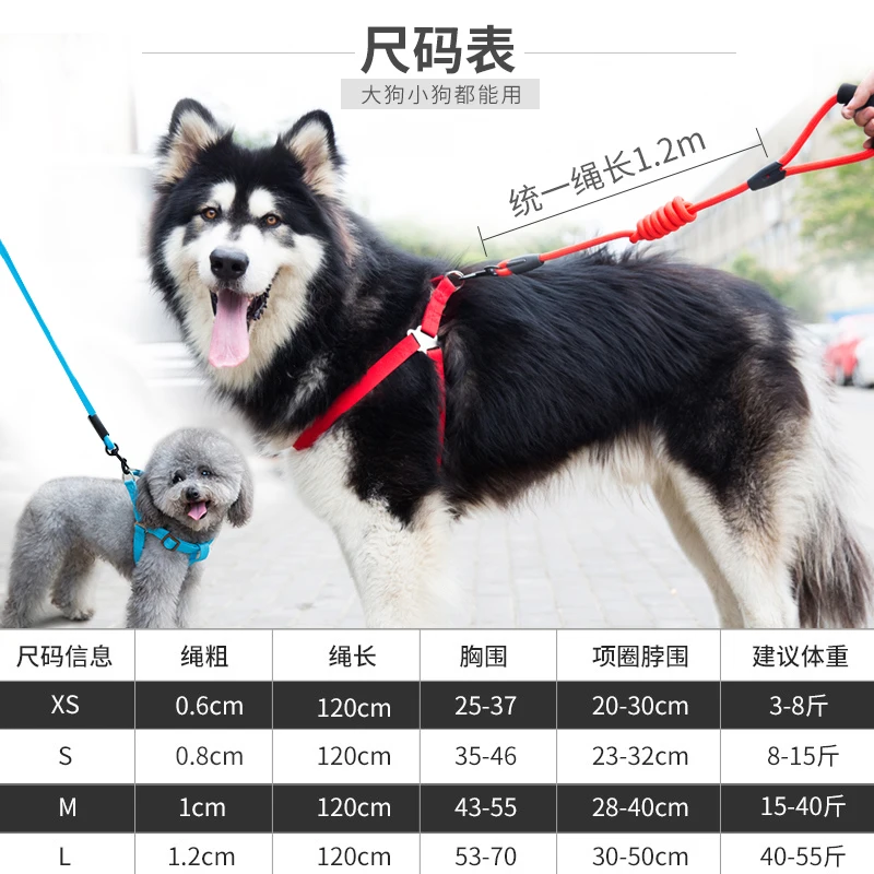 Dog Leash Small and Medium-sized Dog Teddy Leash Leash Dog Leash Chain Puppy Pet Universal Vest-style Dog Walking Puppy
Dog Leash Small and Medium-sized Dog Teddy Leash Leash Dog Leash Chain Puppy Pet Universal Vest-style Dog Walking Puppy