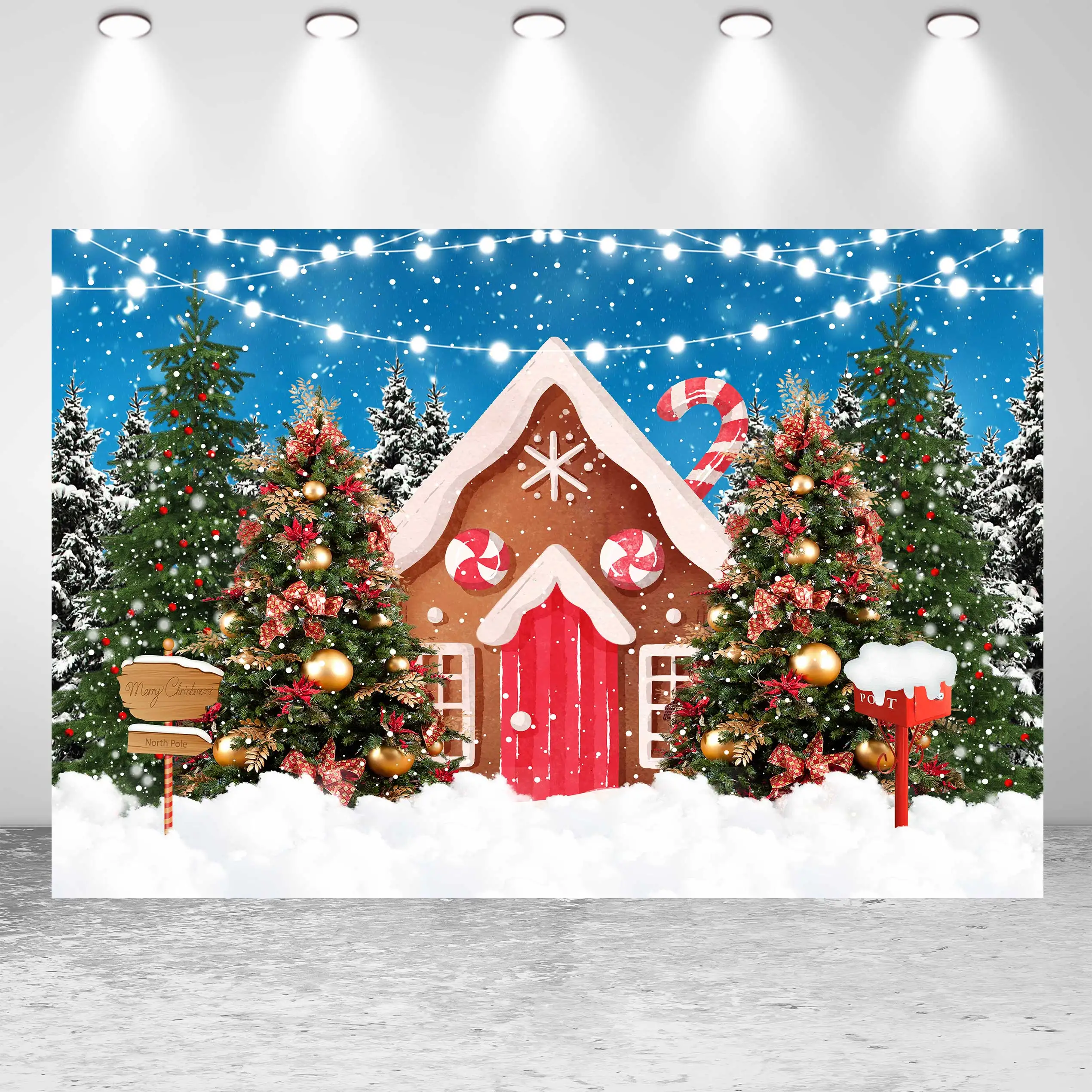Seekpro Winter Christmas Holiday Gingerbread House Candy Backdrop Background Family Child Birthday Art Portrait Photo Studio
Seekpro Winter Christmas Holiday Gingerbread House Candy Backdrop Background Family Child Birthday Art Portrait Photo Studio