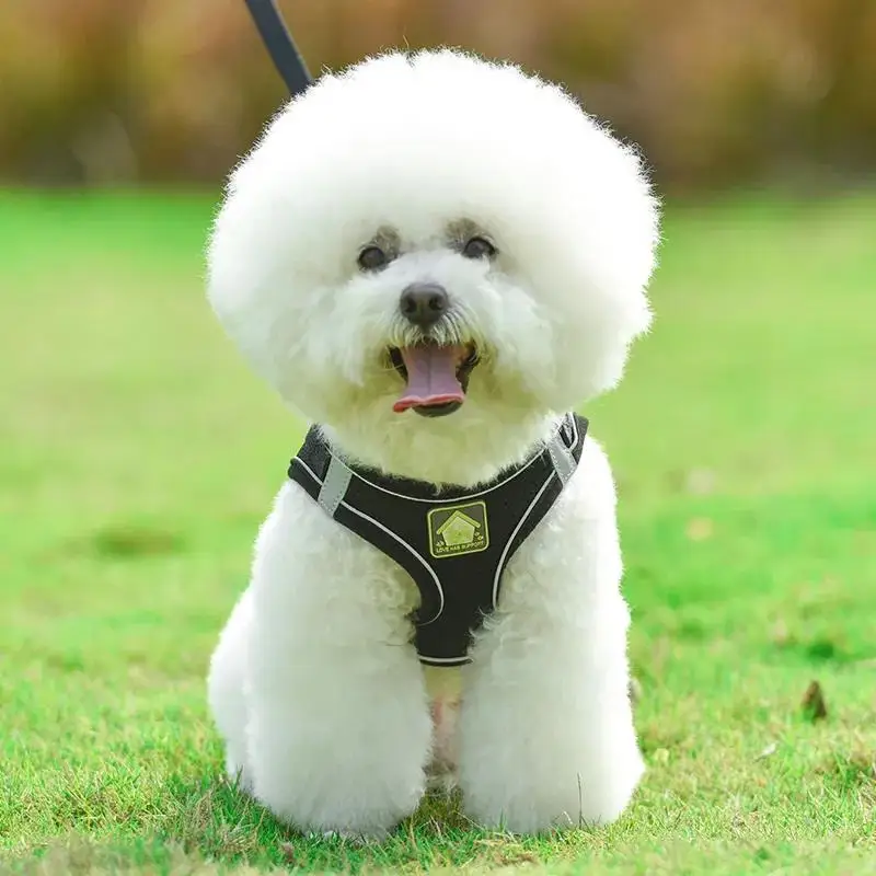 Cat Dog Adjustable Harness Vest Walking Lead Leash For Puppy Dogs Collar Polyester Mesh Harness For Small Medium Dog Cat Pet
Cat Dog Adjustable Harness Vest Walking Lead Leash For Puppy Dogs Collar Polyester Mesh Harness For Small Medium Dog Cat Pet