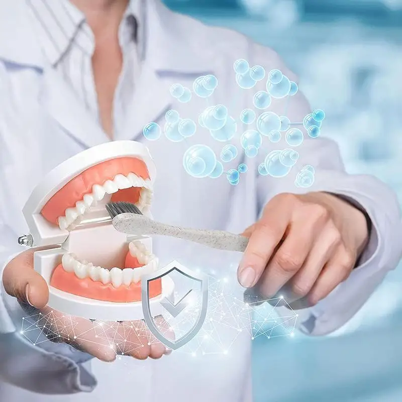 

Модель для обучения зубам 2021, модель для обучения, съемные Ортодонтические импланты, модели зубов, смола, стоматология, стоматологический м...
