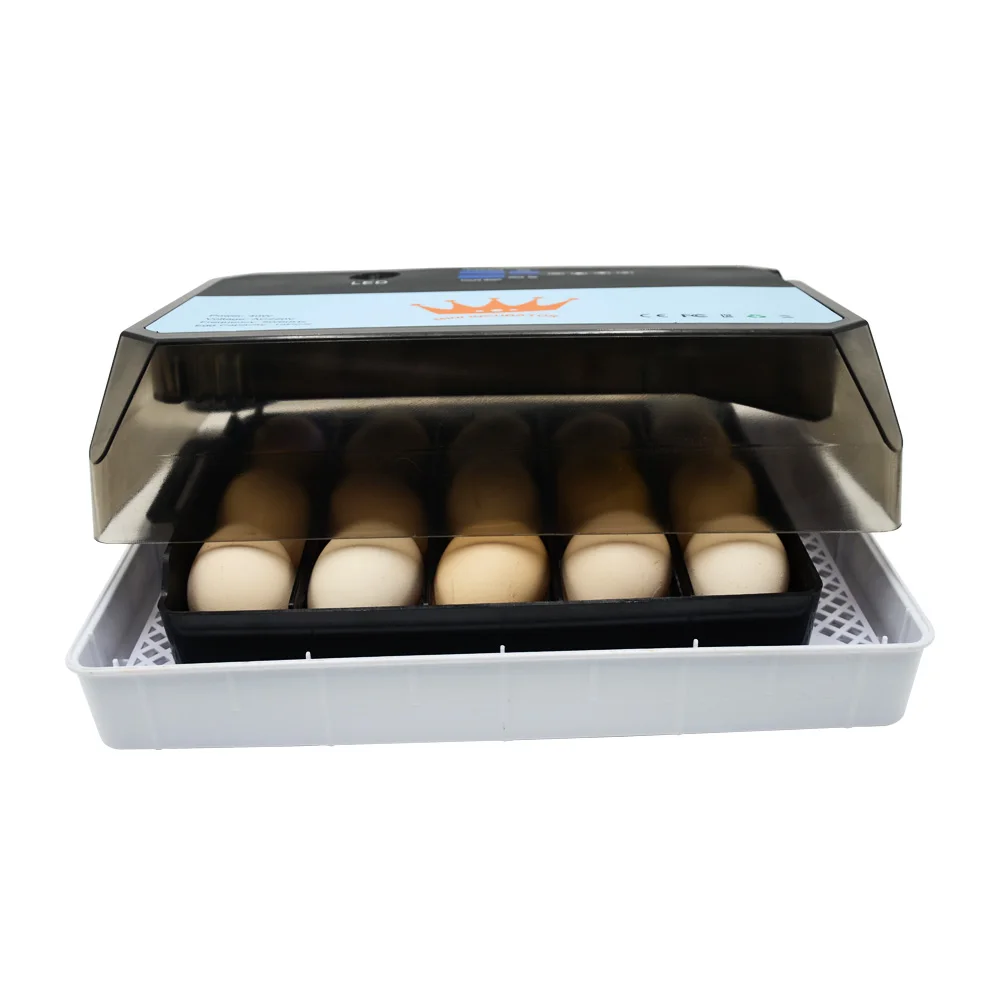 TOP Selling Farm 15Eggs Mini Intelligent Incubator Features Best Chicken Duck Goose Quail Bird Poultry Hatcher For Sales
TOP Selling Farm 15Eggs Mini Intelligent Incubator Features Best Chicken Duck Goose Quail Bird Poultry Hatcher For Sales