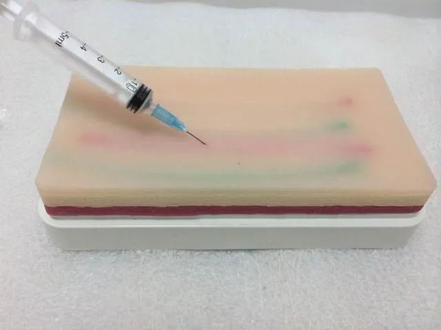Medical Skin Model Intravenous Puncture Practice/Injection Model of the Skin/Unique Health Functions/Silicone Medical Supplies
Medical Skin Model Intravenous Puncture Practice/Injection Model of the Skin/Unique Health Functions/Silicone Medical Supplies