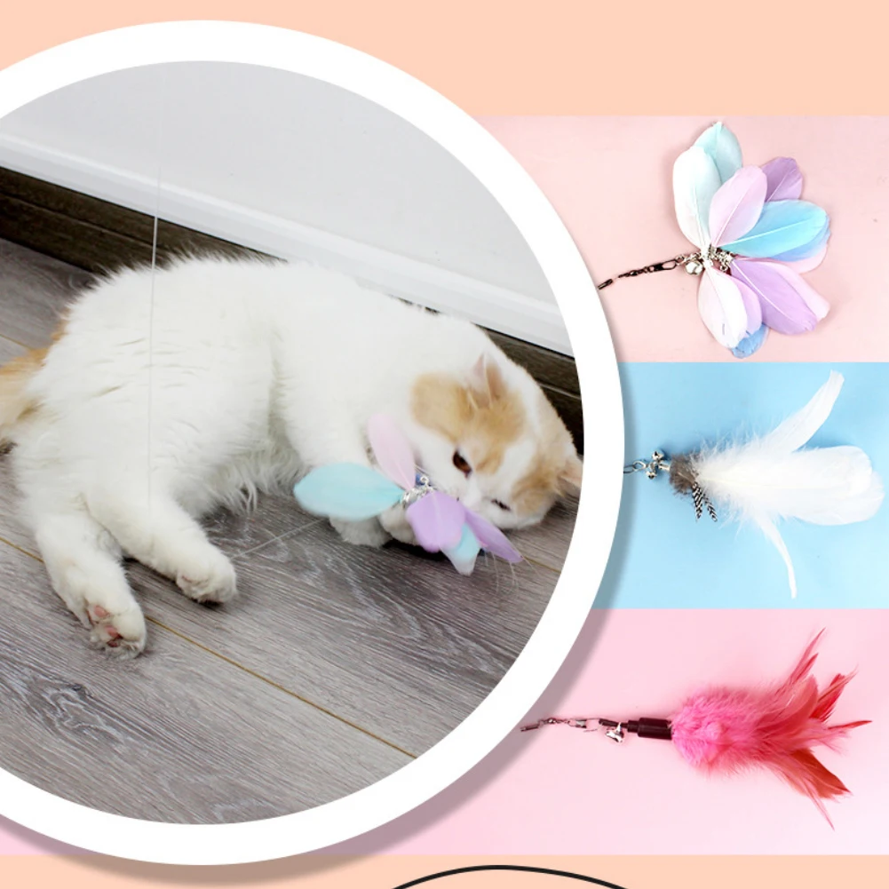 Telescopic Funny Cat Rod Steel Wire Feather 1.8m Super Long Fishing Rod Bite Resistant With Bell Cat Toy Pet Supplies
Telescopic Funny Cat Rod Steel Wire Feather 1.8m Super Long Fishing Rod Bite Resistant With Bell Cat Toy Pet Supplies