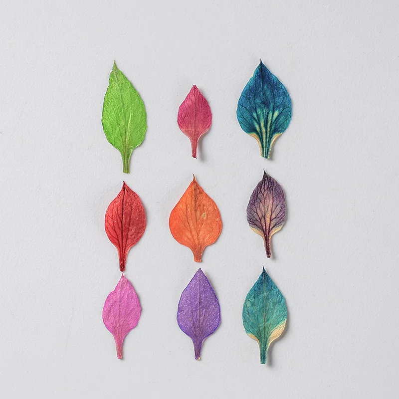 120pcs Pressed Dried Nigella damascena L Flower Petal Herbarium Epoxy Resin Jewelry Photo Frame Phone Case Bookmark Making DIY
120pcs Pressed Dried Nigella damascena L Flower Petal Herbarium Epoxy Resin Jewelry Photo Frame Phone Case Bookmark Making DIY
