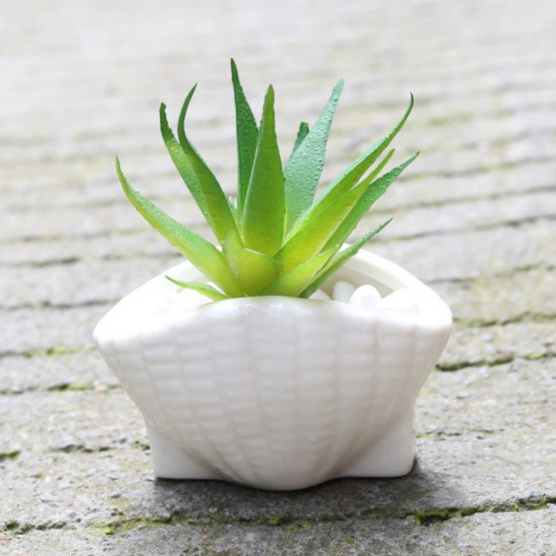 Durable household Product Ceramic mini fleshy flower pot white flower pot garden decoration potted micro landscape bonsai
Durable household Product Ceramic mini fleshy flower pot white flower pot garden decoration potted micro landscape bonsai