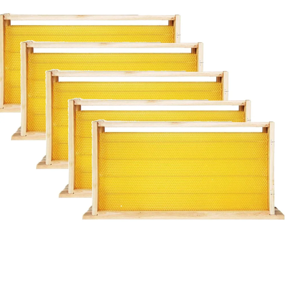 5pcs Waxed Foundation with Frames Beehive Kit Wax Coated Bee Hive Frames Beeswax Coated Foundation Sheet Beekeeping Tools
5pcs Waxed Foundation with Frames Beehive Kit Wax Coated Bee Hive Frames Beeswax Coated Foundation Sheet Beekeeping Tools