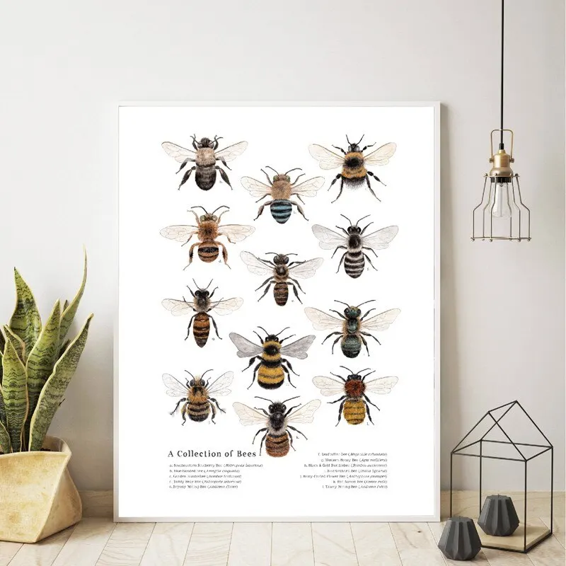 Natural Educational Wall Art Canvas Painting Poster And prints Collection of Bees Wall Pictures School Classroom Decor Unframed
Natural Educational Wall Art Canvas Painting Poster And prints Collection of Bees Wall Pictures School Classroom Decor Unframed