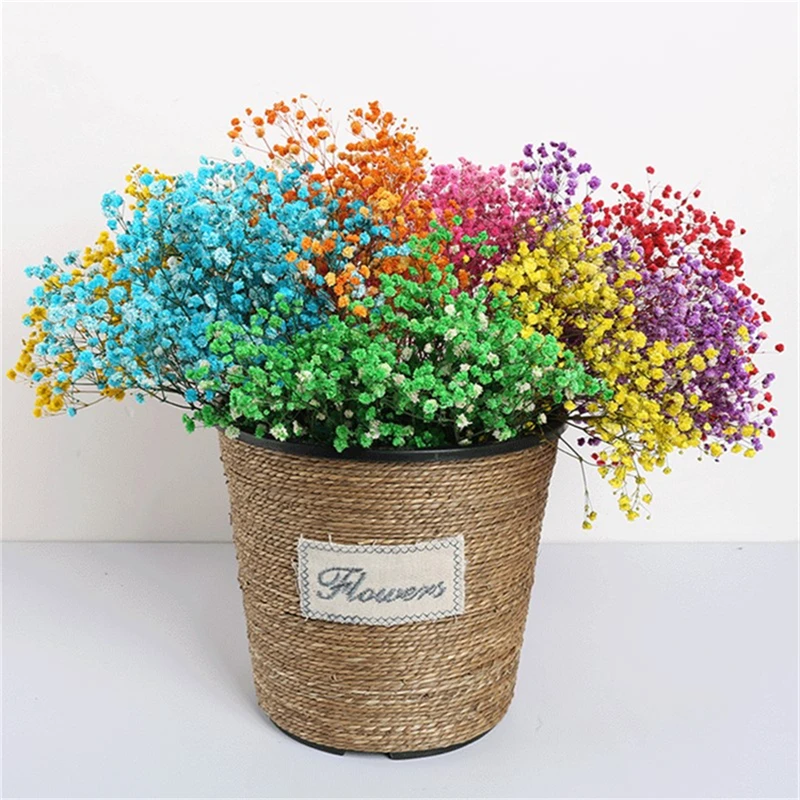 2021 Yunnan Hot Natural Colorful Gypsophila Paniculata Preserved Dried Flowers Bouquet Baby's Breath For Mother's Day Best Gift
2021 Yunnan Hot Natural Colorful Gypsophila Paniculata Preserved Dried Flowers Bouquet Baby's Breath For Mother's Day Best Gift