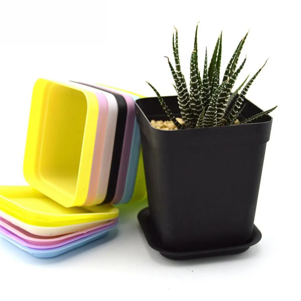 10 Pcs 7 Colors Avilable Thicken Flower Pots Planters Pot Trays Plastic Pots Creative Small Square Pots For Succulent Plants
10 Pcs 7 Colors Avilable Thicken Flower Pots Planters Pot Trays Plastic Pots Creative Small Square Pots For Succulent Plants