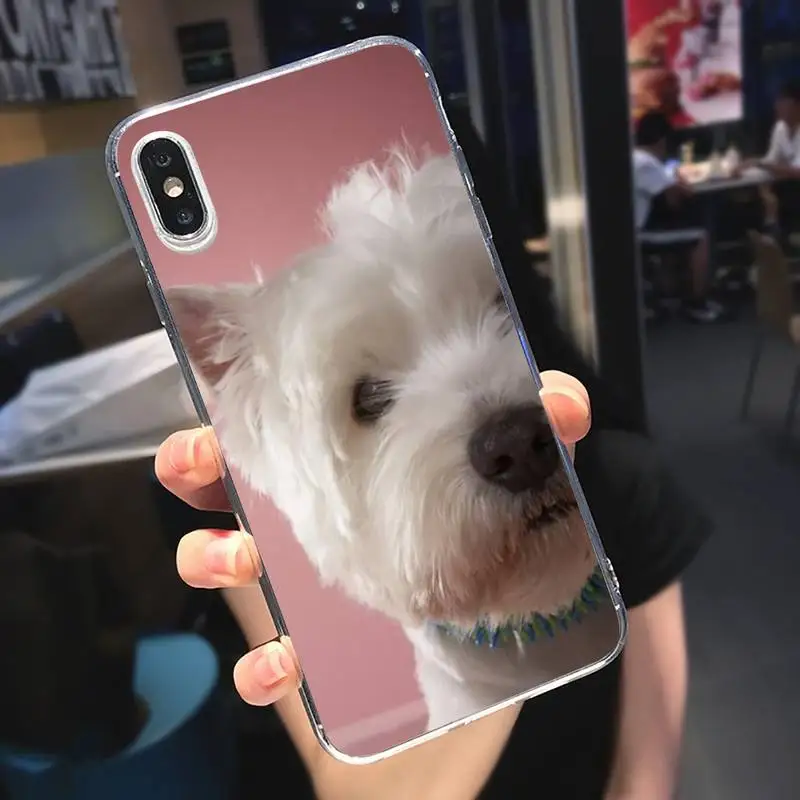 Cute Westie Terrier Dog Puppy Phone Case Transparent soft For iphone 5 5s 5c se 6 6s 7 8 11 12 plus mini x xs xr pro max
Cute Westie Terrier Dog Puppy Phone Case Transparent soft For iphone 5 5s 5c se 6 6s 7 8 11 12 plus mini x xs xr pro max