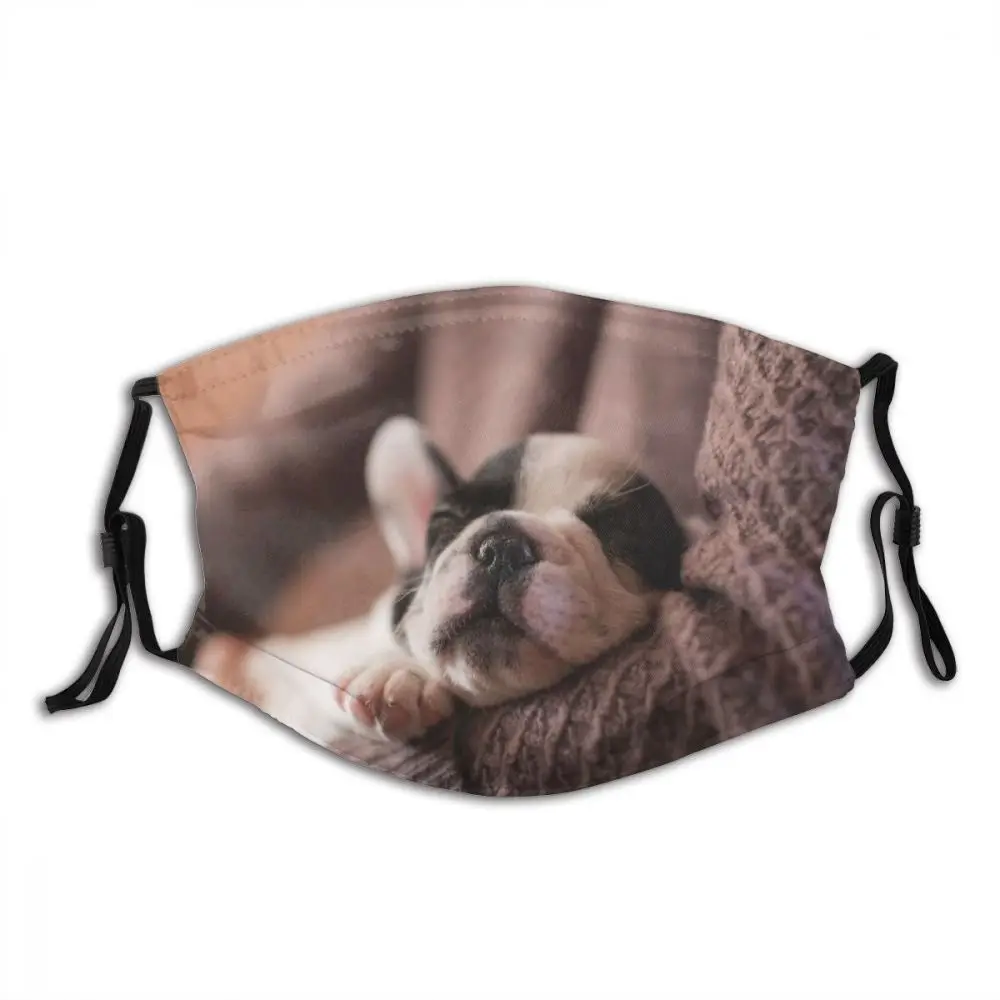 Очаровательная неодноразовая маска для лица с принтом животных и собак с фильтрами, защита от смога, защита от холода, маска для взрослых
Очаровательная неодноразовая маска для лица с принтом животных и собак с фильтрами, защита от смога, защита от холода, маска для взрослых