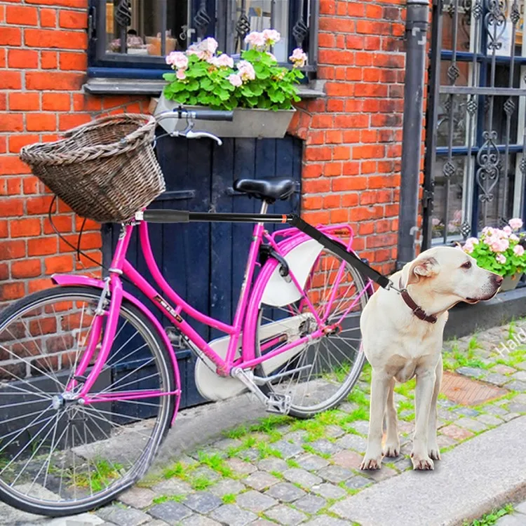 Nylon Elastic Dog Bicycle Traction Belt Rope Dog Outdoor Bicycle Dog Walker Bicycle Traction Rope Bicycle Dog Walker
Nylon Elastic Dog Bicycle Traction Belt Rope Dog Outdoor Bicycle Dog Walker Bicycle Traction Rope Bicycle Dog Walker