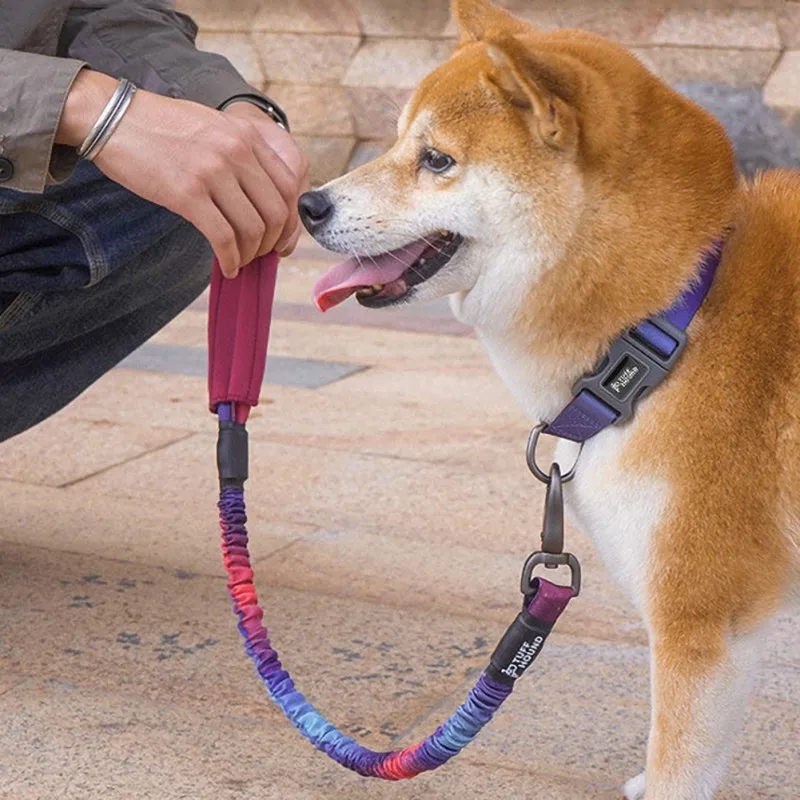 

Поводок для собак, нескользящий шнур, сверхмощный, регулируемый, для обучения мелких, средних и больших собак
