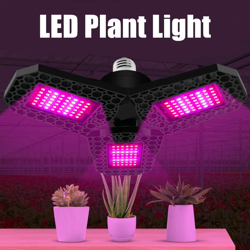 144 LEDs Greenhouse Foldable Seeding For Hydroponics Backyard Three Leaf Garden Houseplants Plant Grow Light E26 E27 Waterproof
144 LEDs Greenhouse Foldable Seeding For Hydroponics Backyard Three Leaf Garden Houseplants Plant Grow Light E26 E27 Waterproof
