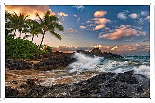Плакат с изображением планеты-Maui Гавайский Тихий океан скалы для серфинга пальмовые деревья Тропическое побережье 82757 жестяной знак (8 "x 12")
Плакат с изображением планеты-Maui Гавайский Тихий океан скалы для серфинга пальмовые деревья Тропическое побережье 82757 жестяной знак (8 "x 12")
