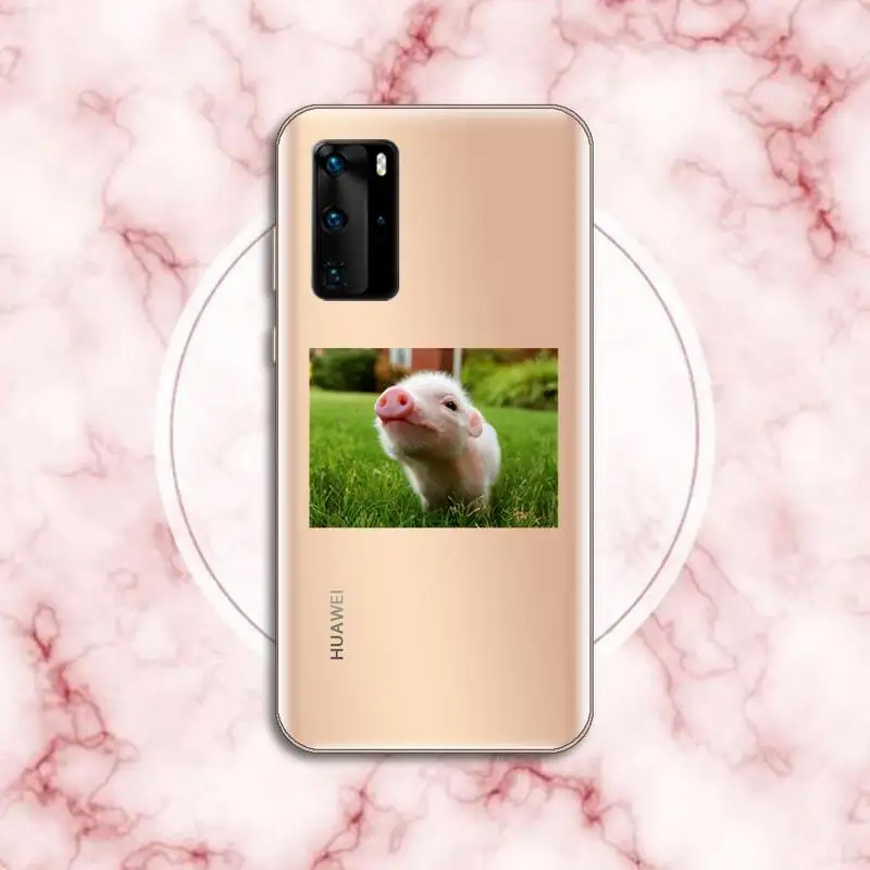 Cute Little Pink Pet Pig Phone Case Transparent for Huawei P20 P30 P40 honor 8 10i P smart 2019 Samsung A71 A21S S10 20 plus
Cute Little Pink Pet Pig Phone Case Transparent for Huawei P20 P30 P40 honor 8 10i P smart 2019 Samsung A71 A21S S10 20 plus