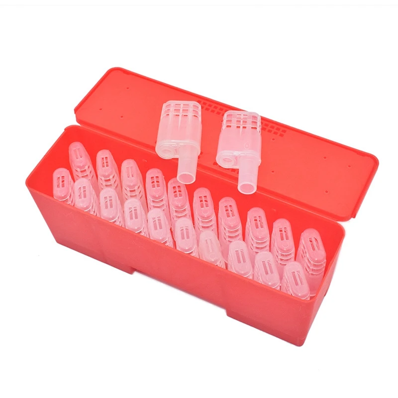 Hot Sale Beekeeping Supplies Queen Bees Box with 20 PCS Queen Cages Queen Rearing Equipment Queen Cell Incubator
Hot Sale Beekeeping Supplies Queen Bees Box with 20 PCS Queen Cages Queen Rearing Equipment Queen Cell Incubator