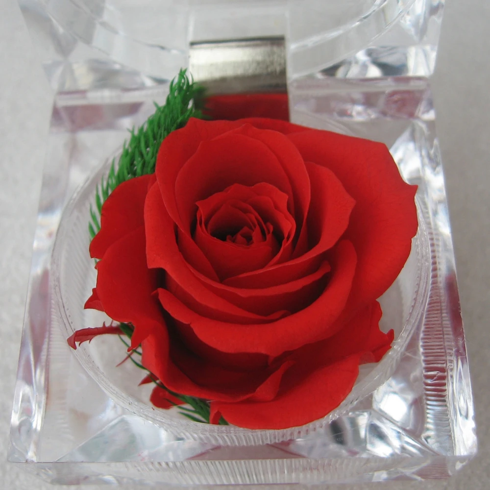 Permanent Rose Flower Wedding Souvenir Engagement Valentine's Day Crystal Ring Box Storage Romantic Gift Birthday Decorative
Permanent Rose Flower Wedding Souvenir Engagement Valentine's Day Crystal Ring Box Storage Romantic Gift Birthday Decorative