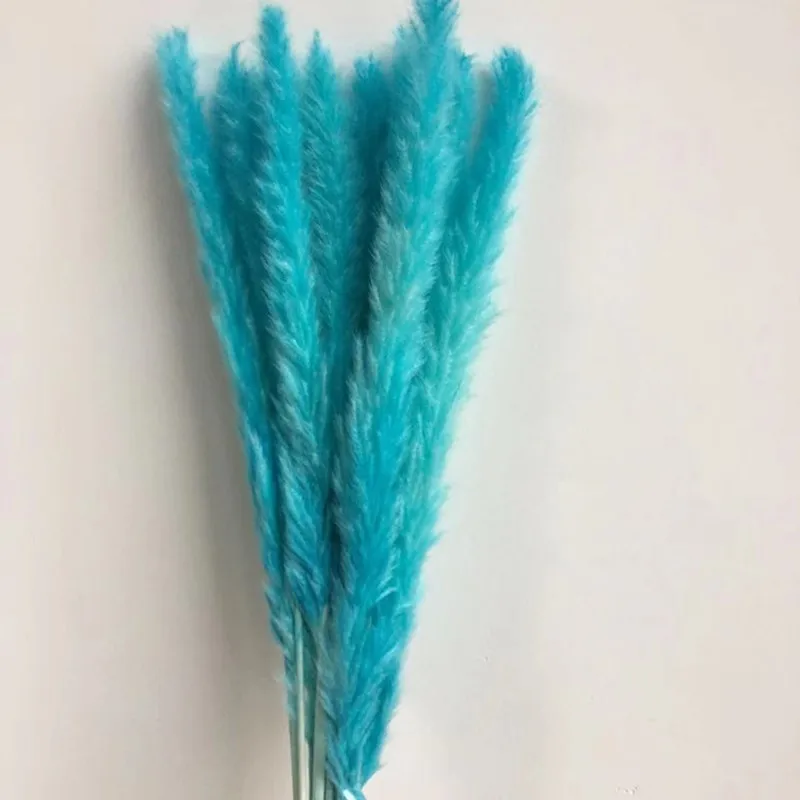 Natural Dried Pampas Grass Phragmites Communis Reed Flower Bouquet Plant Wedding Flowers Bunch for Home DIY Decorations
Natural Dried Pampas Grass Phragmites Communis Reed Flower Bouquet Plant Wedding Flowers Bunch for Home DIY Decorations