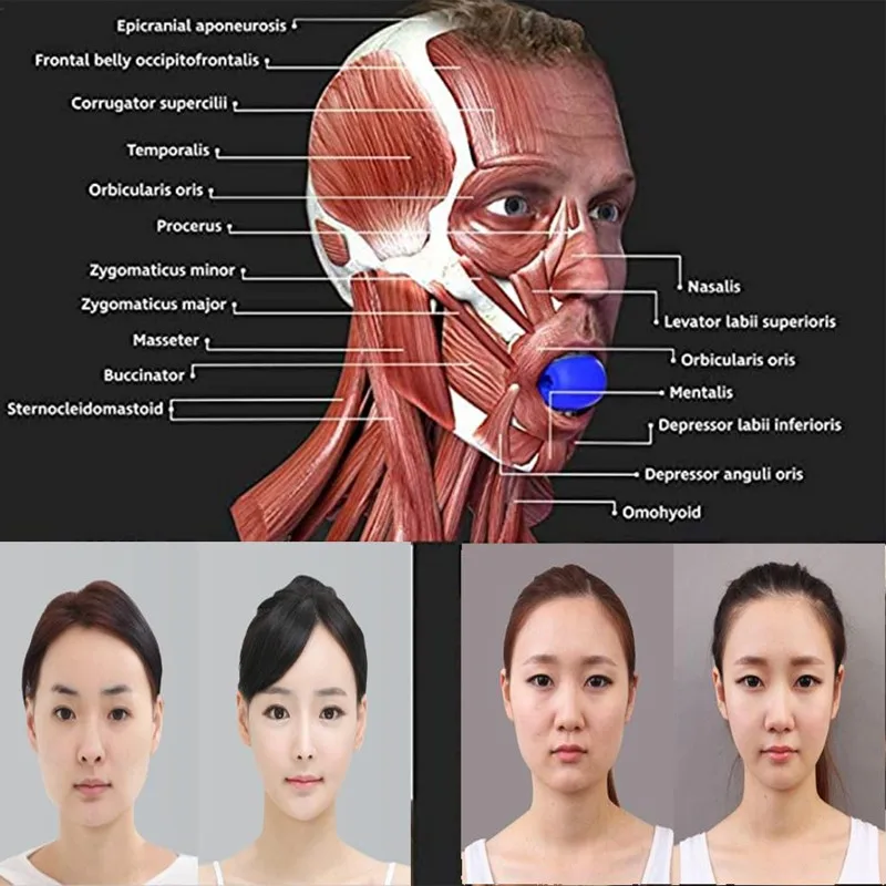 Face Masseter men facial pop n go mouth jawline Jawrsize Jaw Muscle Exerciser chew ball chew bite breaker training
Face Masseter men facial pop n go mouth jawline Jawrsize Jaw Muscle Exerciser chew ball chew bite breaker training