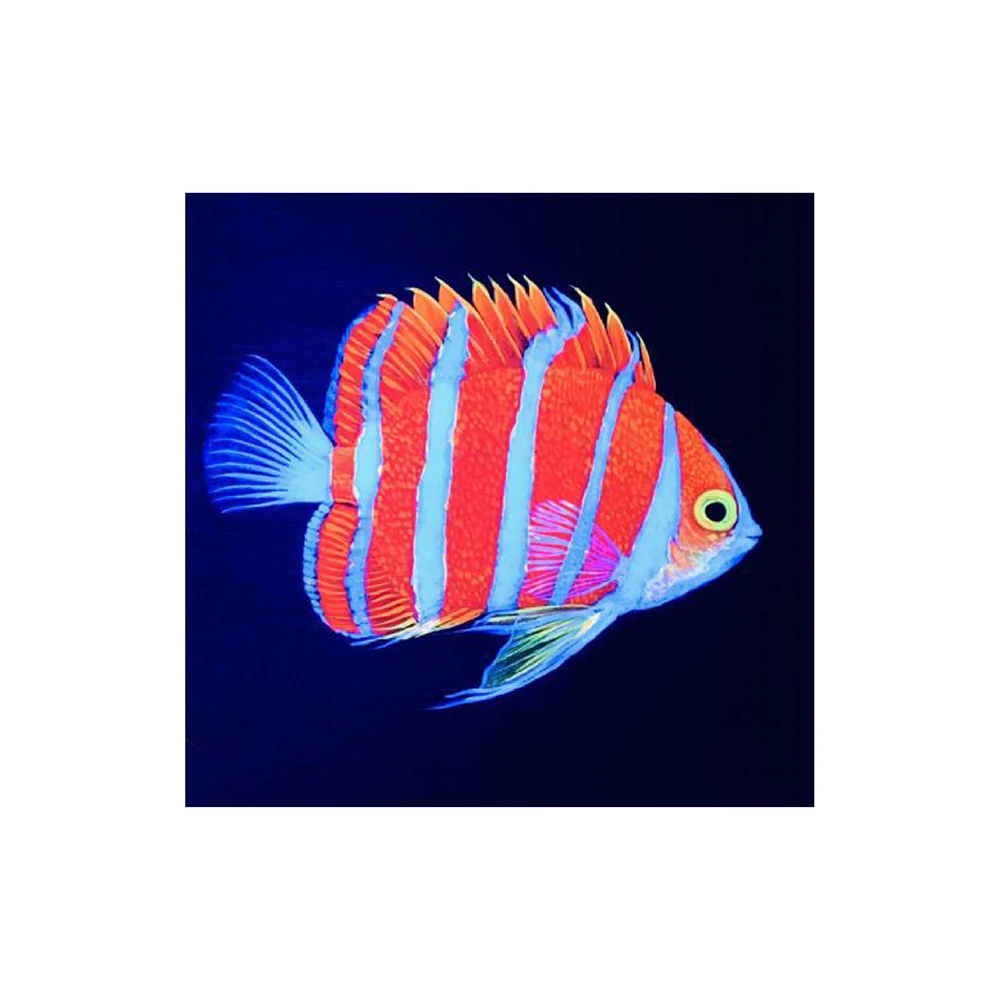 SENHI BIOTECH Seawater fish coral seawater coral fish tank decorative mural fluorescent painted painting decorative painting art
SENHI BIOTECH Seawater fish coral seawater coral fish tank decorative mural fluorescent painted painting decorative painting art