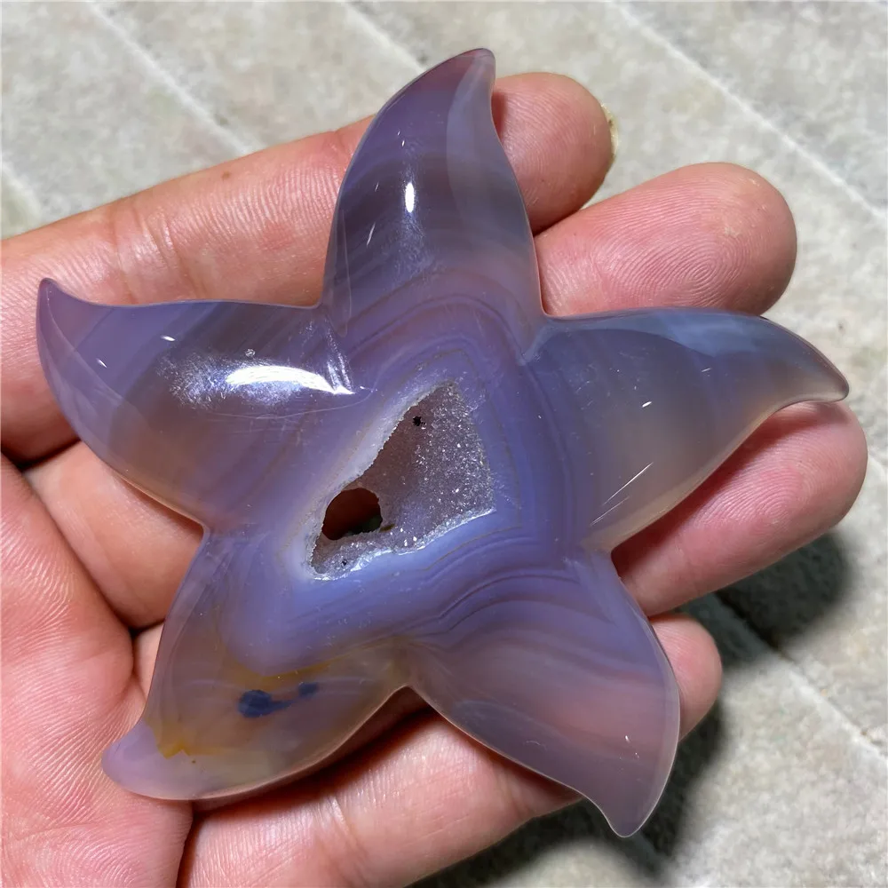Starfish Agate Statue Natural Stone And Crystal Shells Geode Minerals Reiki Healing Ornaments Living Home Decoration Accessories
Starfish Agate Statue Natural Stone And Crystal Shells Geode Minerals Reiki Healing Ornaments Living Home Decoration Accessories