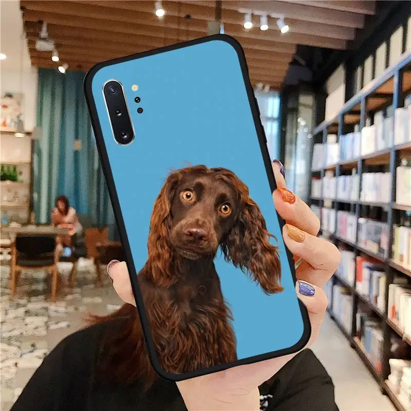 dog funny pet cute lovely Phone Case For Samsung A50 A51 A71 A20E A20S S10 S20 S21 S30 Plus ultra 5G M11 funda cover
dog funny pet cute lovely Phone Case For Samsung A50 A51 A71 A20E A20S S10 S20 S21 S30 Plus ultra 5G M11 funda cover