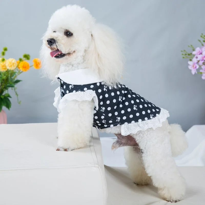 Cats and Dogs Clothes Fighting Corgibago Summer Thin Cool Vest Teddy Bichon Hiromi Pet Clothing
Cats and Dogs Clothes Fighting Corgibago Summer Thin Cool Vest Teddy Bichon Hiromi Pet Clothing