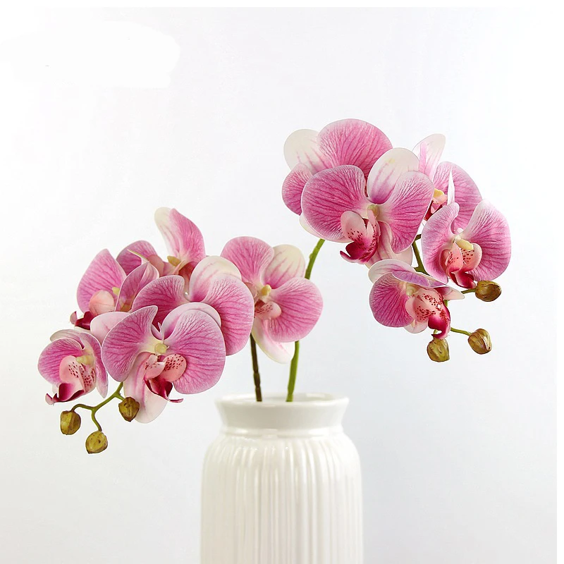 Artificial Silk White Orchid Flowers High Quality Butterfly Moth Phalaenopsis Fake Flower for Wedding Home Festival Decoration
Artificial Silk White Orchid Flowers High Quality Butterfly Moth Phalaenopsis Fake Flower for Wedding Home Festival Decoration