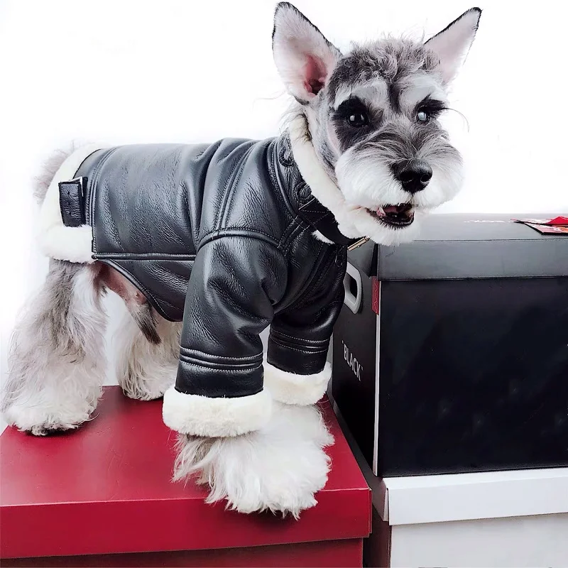 Punk style pet clothes PU leather jacket warm coat puppy clothes small and medium-sized dog Schnauzer French bulldog dog clothes 
Punk style pet clothes PU leather jacket warm coat puppy clothes small and medium-sized dog Schnauzer French bulldog dog clothes