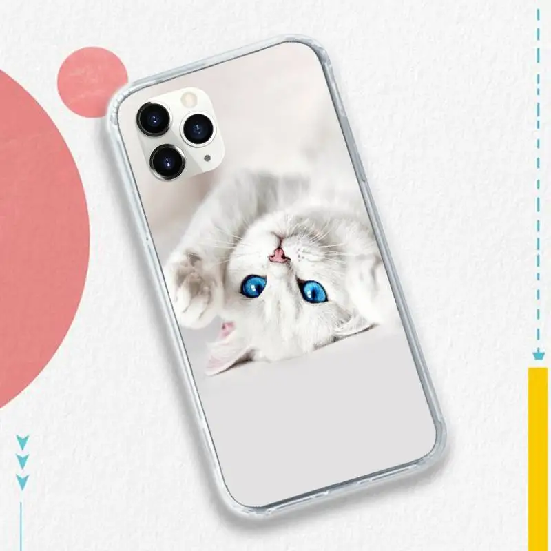 Lovely animal cat kitten shell Phone Case for iPhone 11 12 pro XS MAX 8 7 6 6S Plus X 5S SE 2020 XR
Lovely animal cat kitten shell Phone Case for iPhone 11 12 pro XS MAX 8 7 6 6S Plus X 5S SE 2020 XR