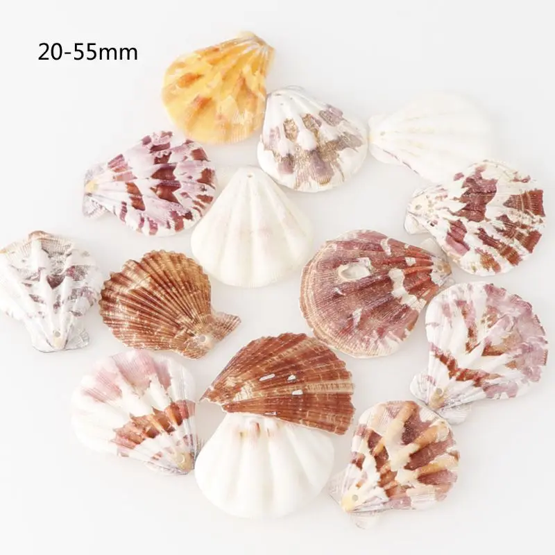 120Pcs Mixed Colorful Scallop Shell Natural Seashell from Sea Beach Large Shell With Holes for DIY Art Craft Decor
120Pcs Mixed Colorful Scallop Shell Natural Seashell from Sea Beach Large Shell With Holes for DIY Art Craft Decor