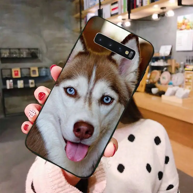Cute Husky dog lovely animal Phone Case For Samsung A50 A51 A71 A20E A20S S10 S20 S21 S30 Plus ultra 5G M11 funda shell
Cute Husky dog lovely animal Phone Case For Samsung A50 A51 A71 A20E A20S S10 S20 S21 S30 Plus ultra 5G M11 funda shell