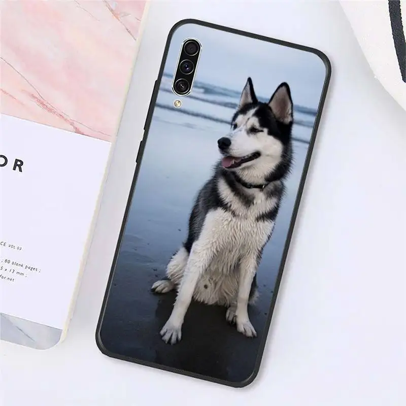 Alaskan Malamute Siberian husky cute dog Phone Case For Samsung galaxy A S note 10 7 8 9 20 30 31 40 50 51 70 71 21 s ultra plus
Alaskan Malamute Siberian husky cute dog Phone Case For Samsung galaxy A S note 10 7 8 9 20 30 31 40 50 51 70 71 21 s ultra plus