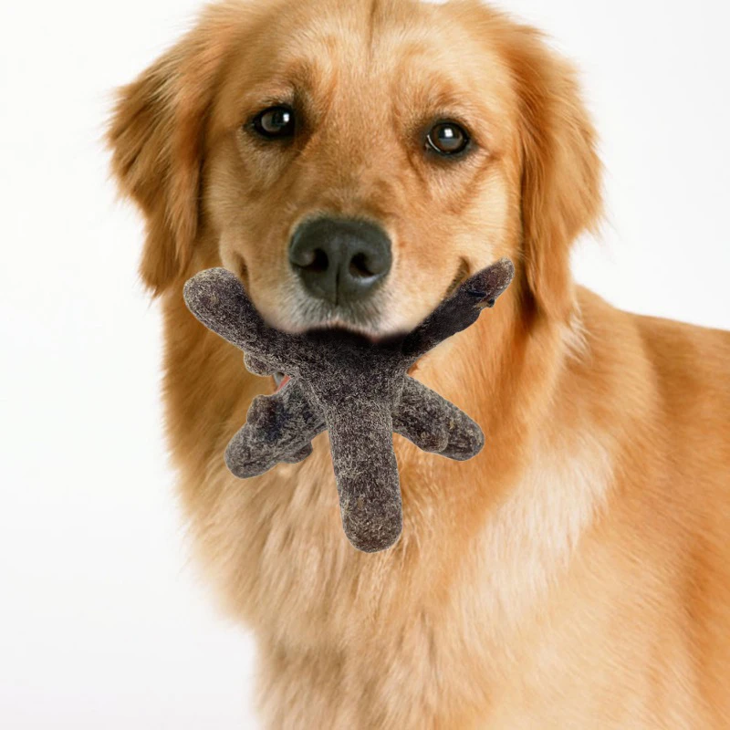 Pet Toys Dog Interactive Leaking Tooth Dog Chew Interactive Toy Original Ecological Wood Flour Rubber Dog Bite Tree Branch Toy
Pet Toys Dog Interactive Leaking Tooth Dog Chew Interactive Toy Original Ecological Wood Flour Rubber Dog Bite Tree Branch Toy